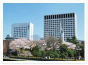 上智大学